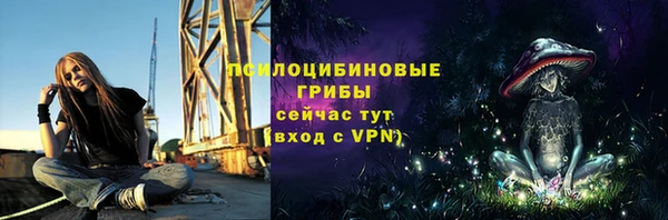 2c-b Арсеньев