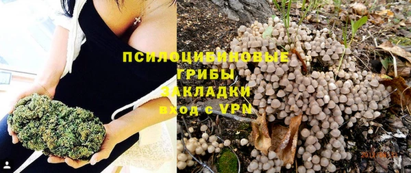первитин Армянск